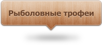 Фотогалерея: Рыболовные трофеи