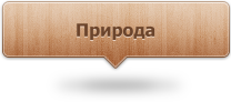Фотогалерея: Природа