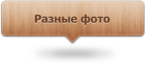 Фотогалерея: Прочее
